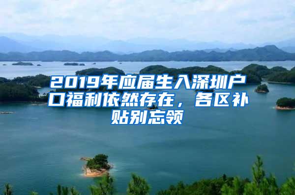 2019年应届生入深圳户口福利依然存在，各区补贴别忘领
