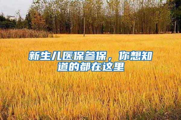 新生儿医保参保，你想知道的都在这里