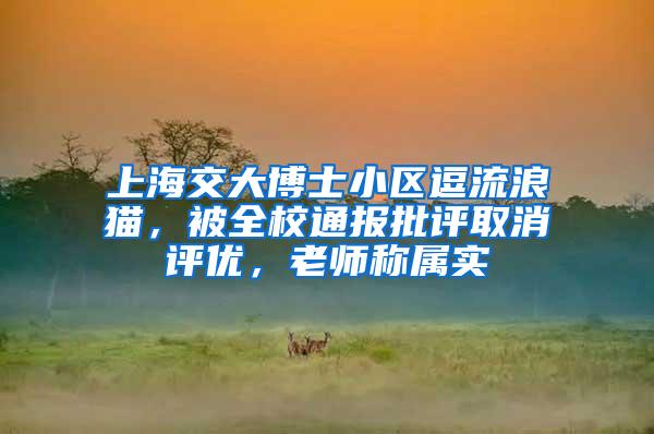 上海交大博士小区逗流浪猫，被全校通报批评取消评优，老师称属实