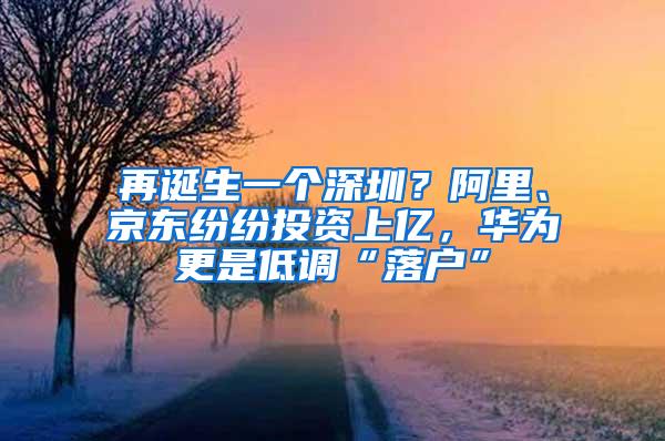 再诞生一个深圳？阿里、京东纷纷投资上亿，华为更是低调“落户”