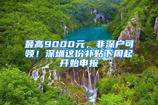 最高9000元，非深户可领！深圳这份补贴下周起开始申报