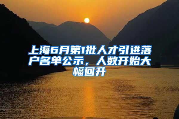 上海6月第1批人才引进落户名单公示，人数开始大幅回升