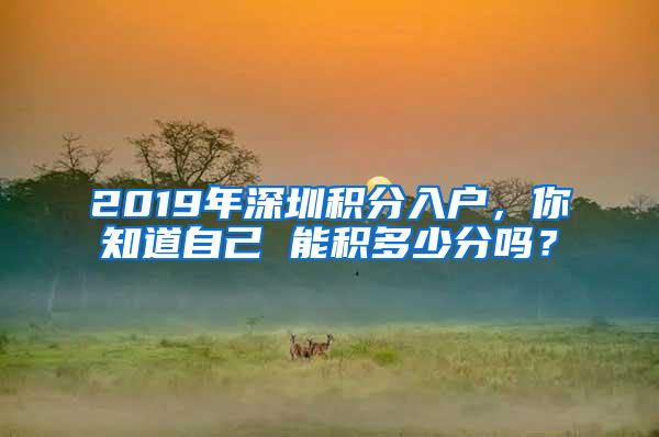 2019年深圳积分入户，你知道自己 能积多少分吗？