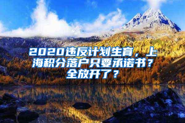 2020违反计划生育，上海积分落户只要承诺书？全放开了？