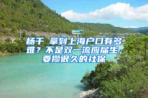 杨千嬅拿到上海户口有多难？不是双一流应届生，要攒很久的社保