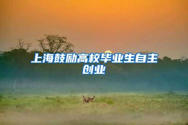 上海鼓励高校毕业生自主创业