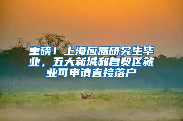重磅！上海应届研究生毕业，五大新城和自贸区就业可申请直接落户