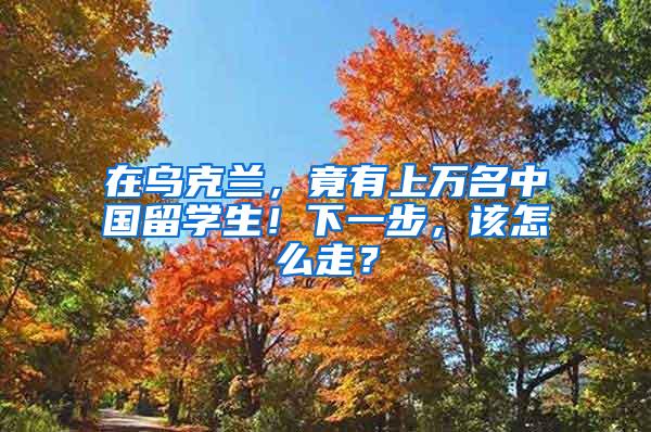 在乌克兰，竟有上万名中国留学生！下一步，该怎么走？