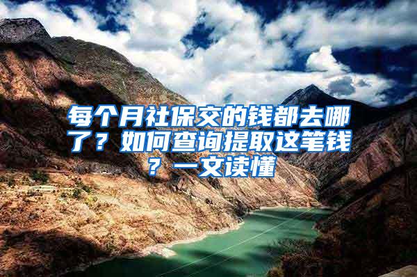 每个月社保交的钱都去哪了？如何查询提取这笔钱？一文读懂