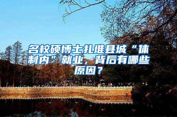 名校硕博士扎堆县城“体制内”就业，背后有哪些原因？