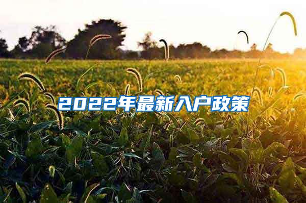 2022年最新入户政策