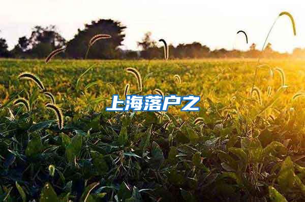 上海落户之