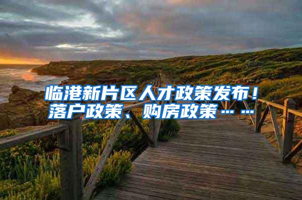 临港新片区人才政策发布！落户政策、购房政策……