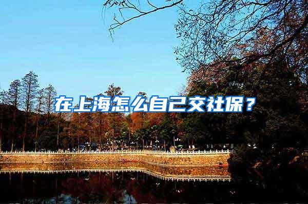 在上海怎么自己交社保？