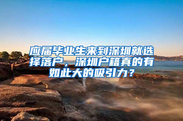 应届毕业生来到深圳就选择落户，深圳户籍真的有如此大的吸引力？