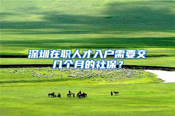 深圳在职人才入户需要交几个月的社保？