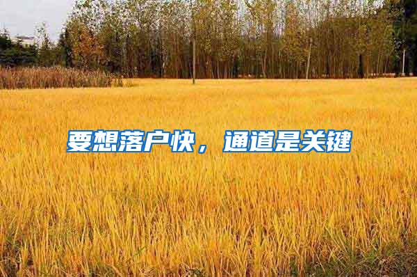 要想落户快，通道是关键