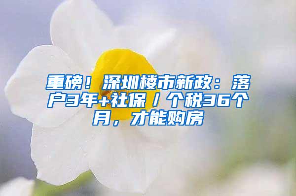 重磅！深圳楼市新政：落户3年+社保／个税36个月，才能购房