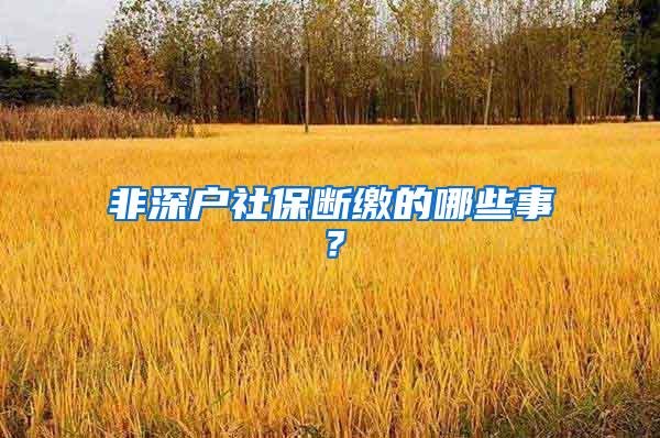非深户社保断缴的哪些事？