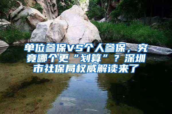 单位参保VS个人参保，究竟哪个更“划算”？深圳市社保局权威解读来了