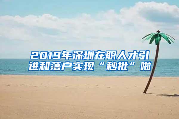 2019年深圳在职人才引进和落户实现“秒批”啦