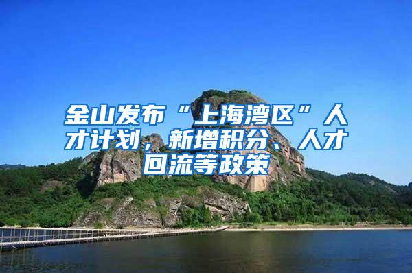 金山发布“上海湾区”人才计划，新增积分、人才回流等政策