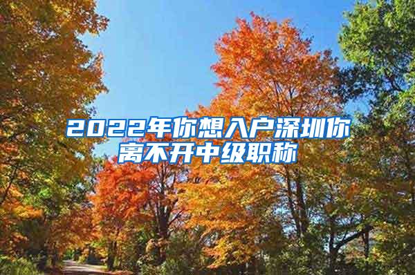 2022年你想入户深圳你离不开中级职称