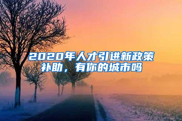 2020年人才引进新政策补助，有你的城市吗