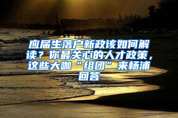 应届生落户新政该如何解读？你最关心的人才政策，这些大咖“组团”来杨浦回答
