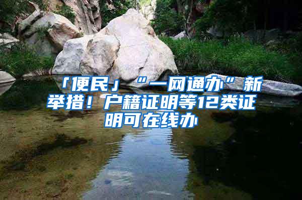 「便民」“一网通办”新举措！户籍证明等12类证明可在线办