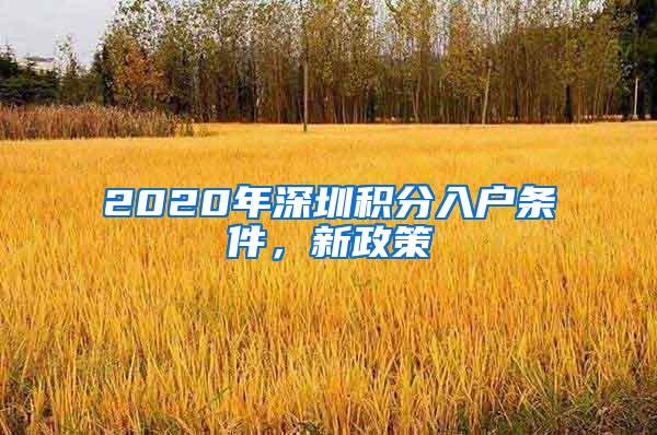 2020年深圳积分入户条件，新政策