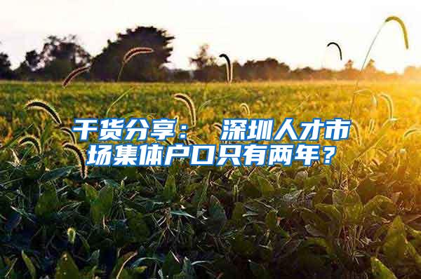 干货分享： 深圳人才市场集体户口只有两年？