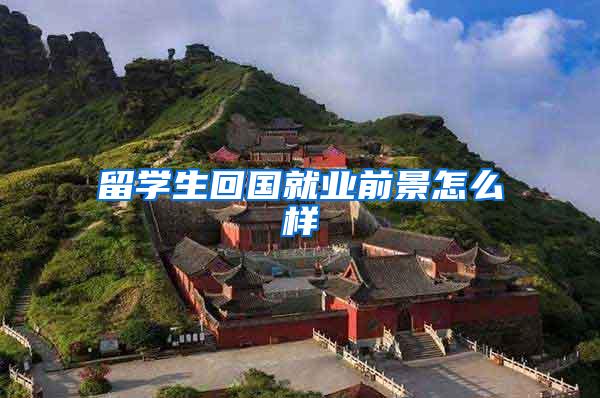 留学生回国就业前景怎么样