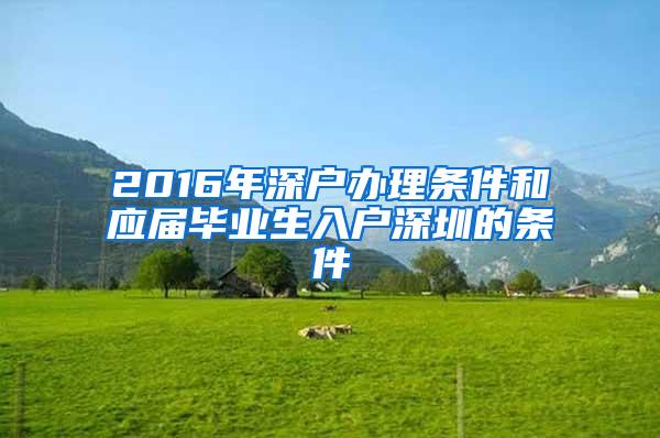 2016年深户办理条件和应届毕业生入户深圳的条件