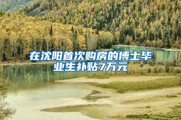 在沈阳首次购房的博士毕业生补贴7万元