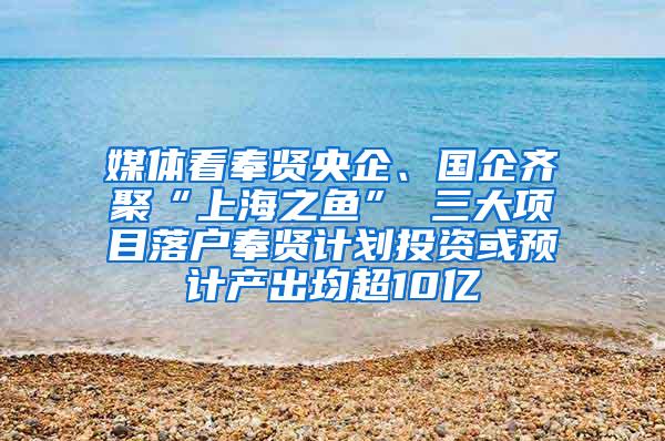 媒体看奉贤央企、国企齐聚“上海之鱼” 三大项目落户奉贤计划投资或预计产出均超10亿