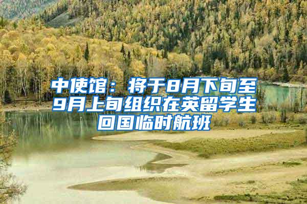 中使馆：将于8月下旬至9月上旬组织在英留学生回国临时航班