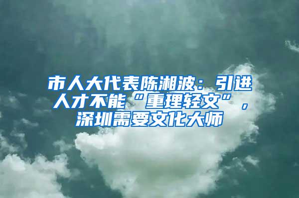 市人大代表陈湘波：引进人才不能“重理轻文”，深圳需要文化大师