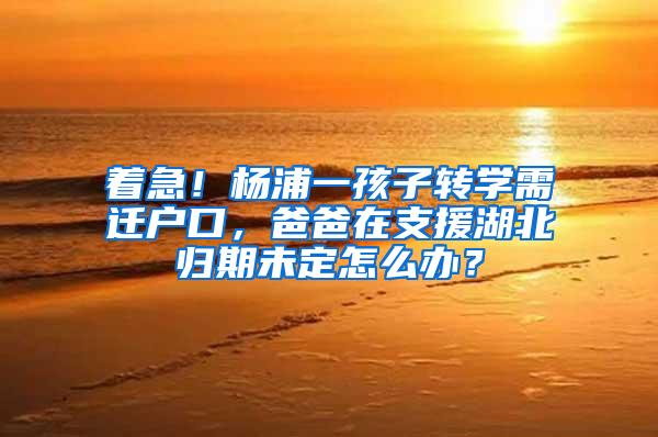 着急！杨浦一孩子转学需迁户口，爸爸在支援湖北归期未定怎么办？