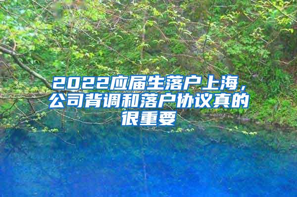 2022应届生落户上海，公司背调和落户协议真的很重要