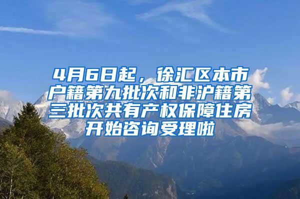 4月6日起，徐汇区本市户籍第九批次和非沪籍第三批次共有产权保障住房开始咨询受理啦