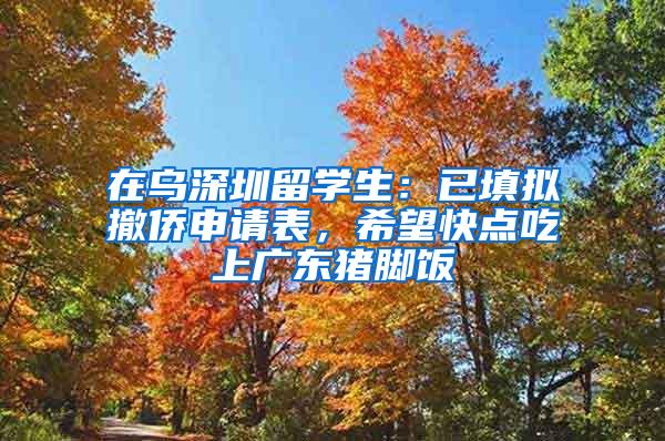 在乌深圳留学生：已填拟撤侨申请表，希望快点吃上广东猪脚饭