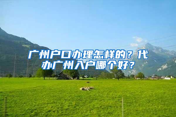 广州户口办理怎样的？代办广州入户哪个好？