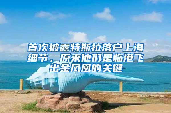 首次披露特斯拉落户上海细节，原来他们是临港飞出金凤凰的关键
