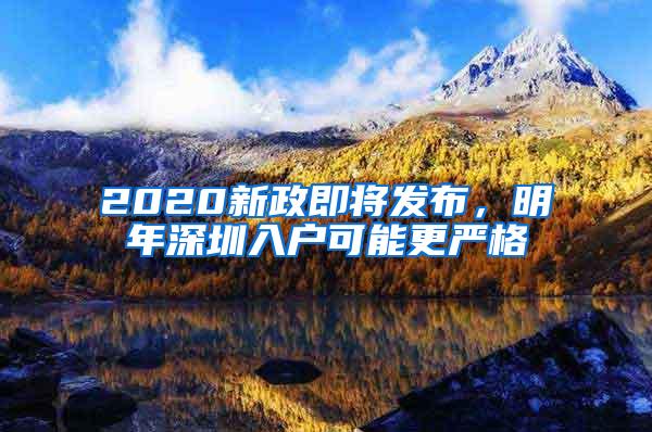 2020新政即将发布，明年深圳入户可能更严格