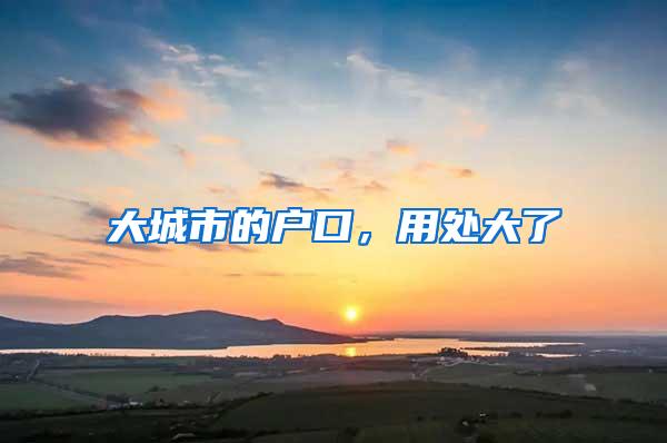 大城市的户口，用处大了