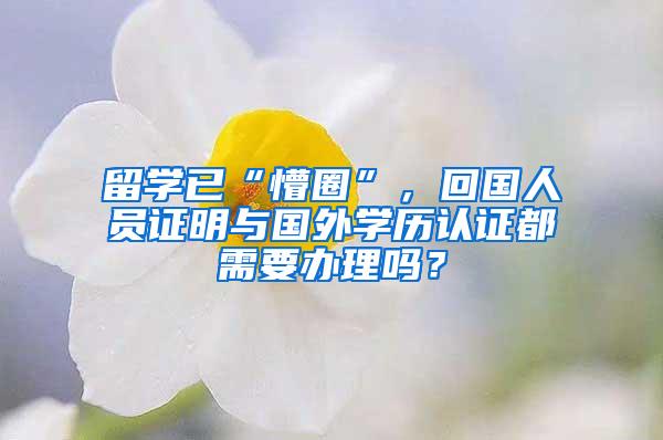 留学已“懵圈”，回国人员证明与国外学历认证都需要办理吗？