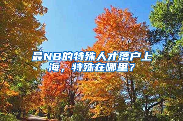 最NB的特殊人才落户上海，特殊在哪里？