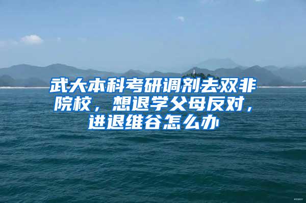 武大本科考研调剂去双非院校，想退学父母反对，进退维谷怎么办