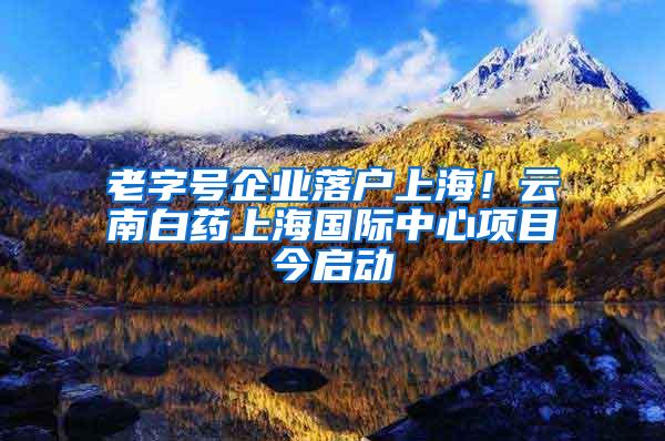 老字号企业落户上海！云南白药上海国际中心项目今启动